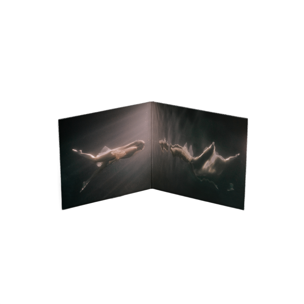 The Learning of Urgency Vinyl LP